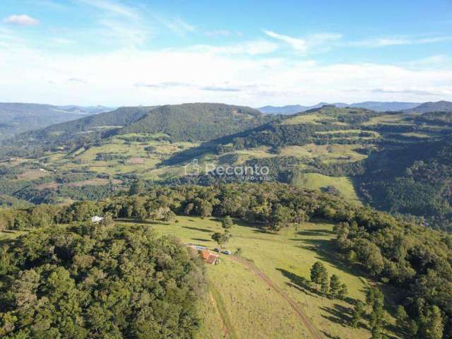 SITIO 39 HECTARES -  MOREIRAS EM CANELA, Chapadão, Canela - RS