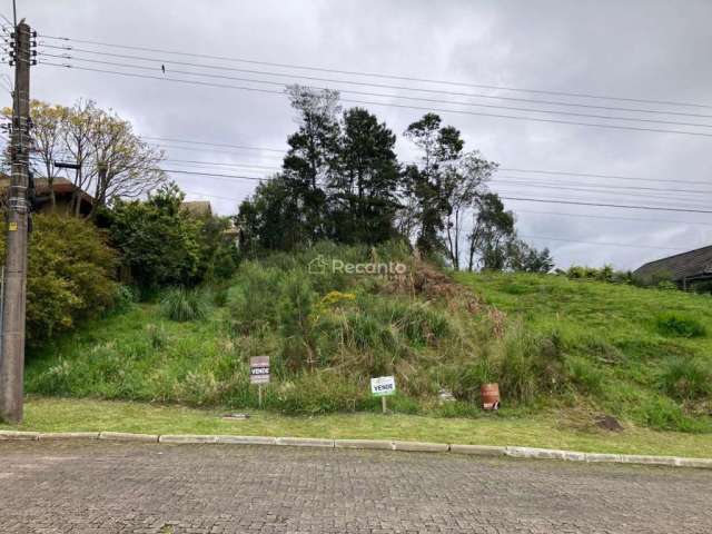 TERRENO COM 600 M² NO LOTEAMNTO VALE DAS COLINAS , Vale das Colinas, Gramado - RS