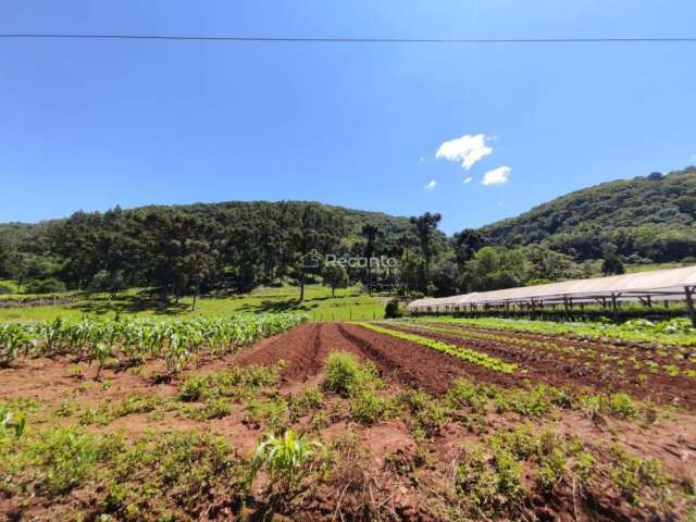 ÁREA DE 30.300M² A VENDA EM GRAMADO, LINHA AVILA!, Estrada Linha Avila, Gramado - RS