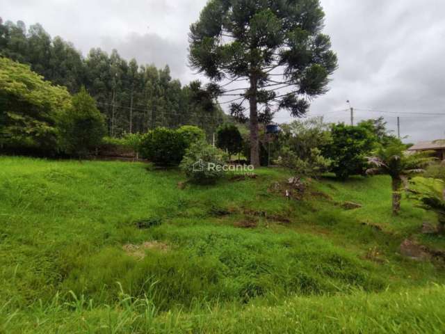 TERRENO COM 1.170 M² EM GRAMADO , Estrada Linha Avila, Gramado - RS