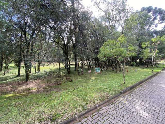 TERRENO COM 1.078,09M² A VENDA EM CANELA , Bosque Sinossera, Canela - RS