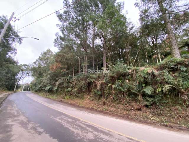 TERRENO DE 600,90M² A VENDA EM CANELA, Vila do Cedro, Canela - RS