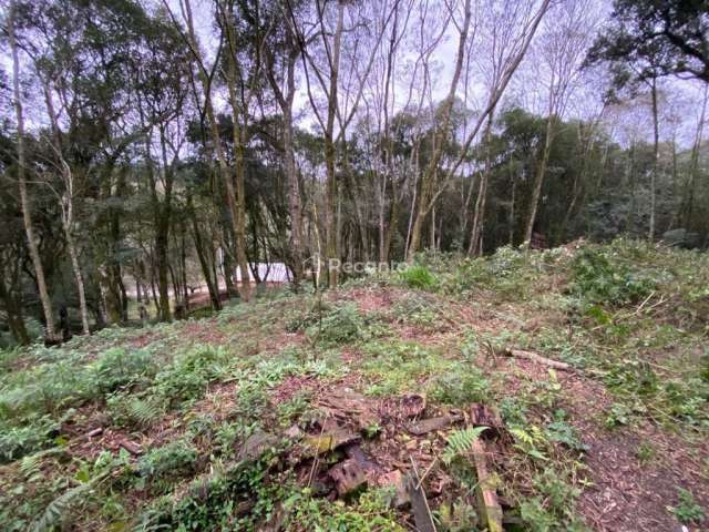 TERRENO DE 611,50M² A VENDA EM CANELA, Vila do Cedro, Canela - RS