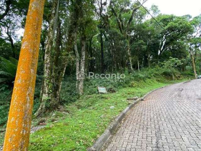 LOTE A VENDA EM CANELA , Pinheiro Grosso, Canela - RS