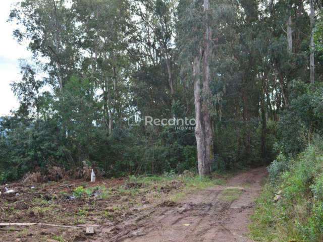 SÍTIO À VENDA, 44 HECTARES EM GRAMADO - RS, Mato Queimado, Gramado - RS