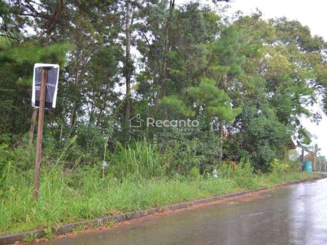 TERRENO À VENDA, 1500 M² NO BAIRRO CARAZAL, Carazal, Gramado - RS