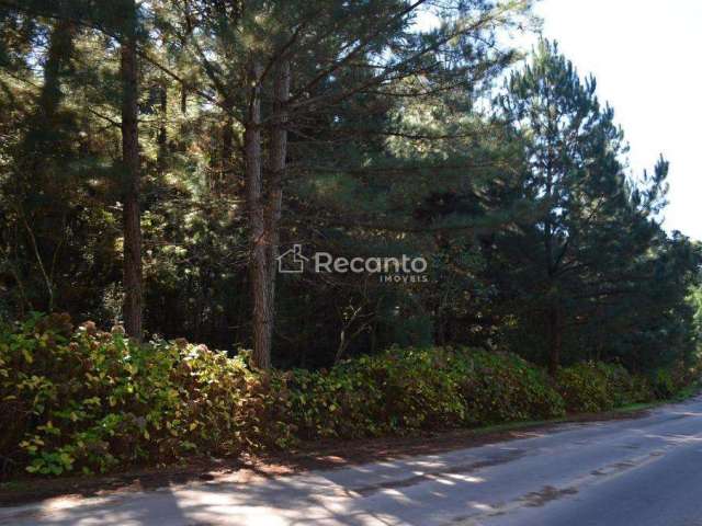 ÁREA À VENDA, 82000 M² - MATO QUEIMADO - GRAMADO/RS, Mato Queimado, Gramado - RS