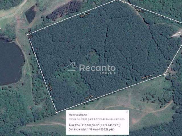 ÁREA À VENDA, 118079 M²  MATO QUEIMADO - GRAMADO/RS, Mato Queimado, Gramado - RS