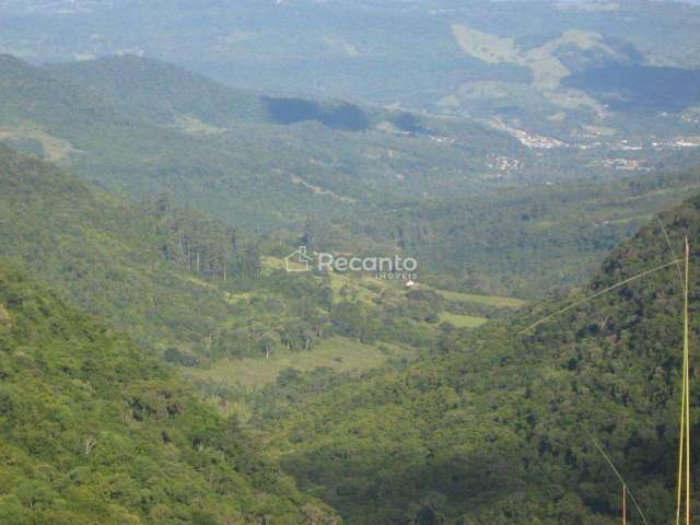 ÁREA À VENDA, 70.000 M² SERRA GRANDE GRAMADO, Serra Grande Alemã, Gramado - RS