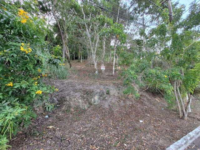 Terreno/Loteamento à Venda em Rio do Ouro