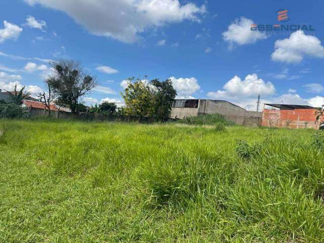 Terreno à venda, 290 m² por R$ 150.000,00 - Jardim Regina - Botucatu/SP