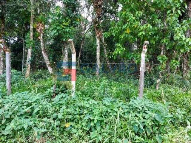 Terrenos à venda na Praia de Boracéia em São Sebastião - SP