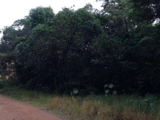 Terreno em Condomínio para Venda em Atibaia, Condomínio Bosque dos Eucalíptos