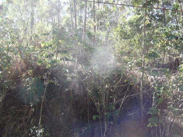 Terreno em Condomínio para Venda em Atibaia, Condomínio Bosque dos Eucalíptos