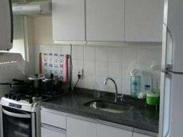 Apartamento Padrão para Venda em Jardim Monte Alto Campinas-SP