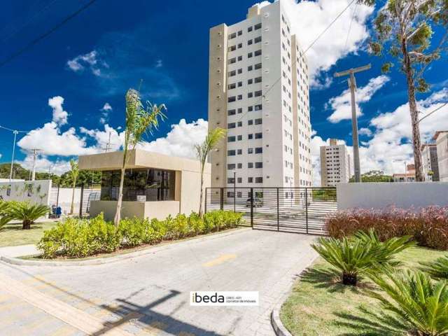 Apartamento à Venda no Ecopark Emaús Sala, 2 quartos, banheiro, 1 vaga e sombra.