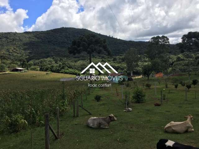 R$ 1.050.000,00 - sítio na divisa de mandirituba com tijucas do sul, a 3 km de saltinho, em mandirituba/pr.