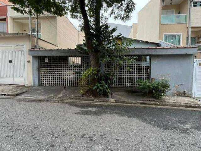 Terreno à venda, 305 m² por R$ 999.999 - Vila Floresta - Santo André/SP