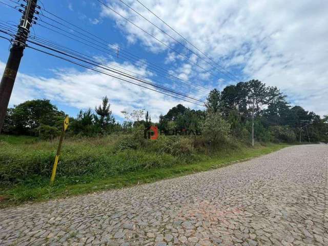 Área à venda, 4973 m² por R$ 3.500.000,00 - Granja Viana - Cotia/SP