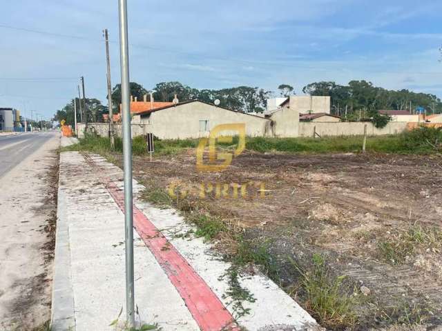 Ótimo Terreno Desmatado e Frente o Asfalto à 100 mts da escola e creche