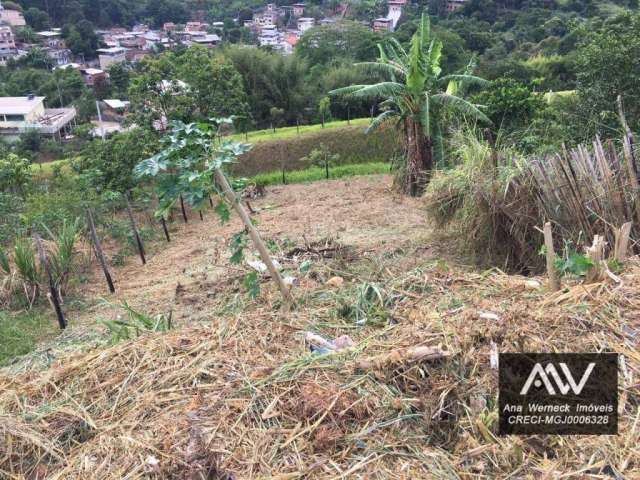 Terreno à venda, 240 m² por R$ 80.000 Terras Altas  - Juiz de Fora/MG