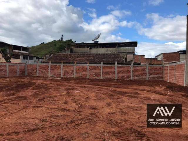 Terreno para alugar, 750 m² por R$ 3.900/mês - Araújo - Juiz de Fora/MG