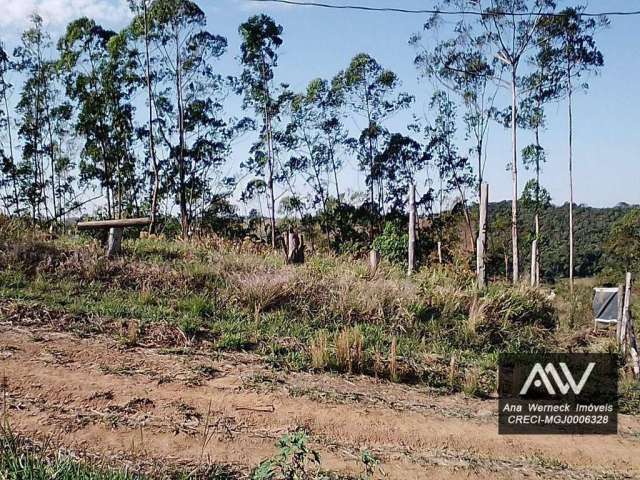 Área à venda, 1000 m² por R$ 60.000,00 - Coronel Pacheco - Coronel Pacheco/MG