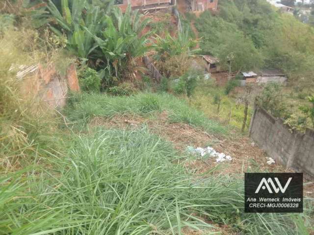 Terreno à venda, 200 m² por R$ 50.000,00 - Teixeiras - Juiz de Fora/MG