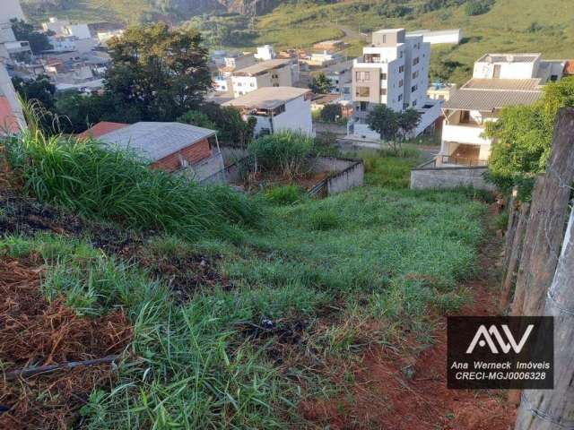 Terreno à venda, 300 m² por R$ 25.000,00 - Jardim dos Alfineiros - Juiz de Fora/MG