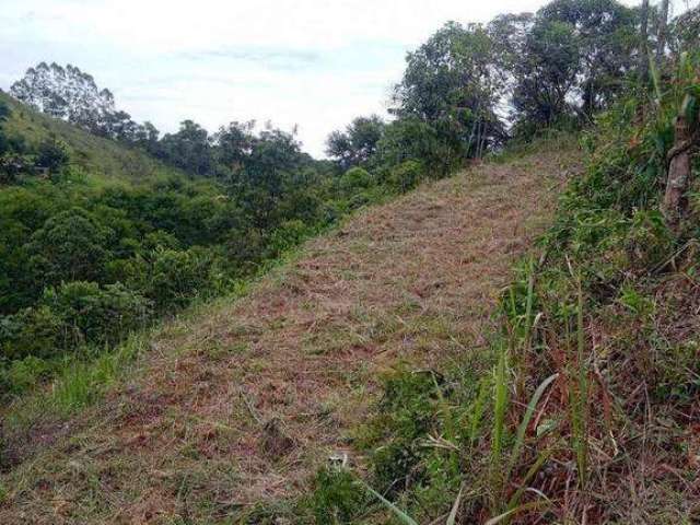 Terreno à venda, 500 m² por R$ 25.000 - Dias Tavares - Juiz de Fora/MG