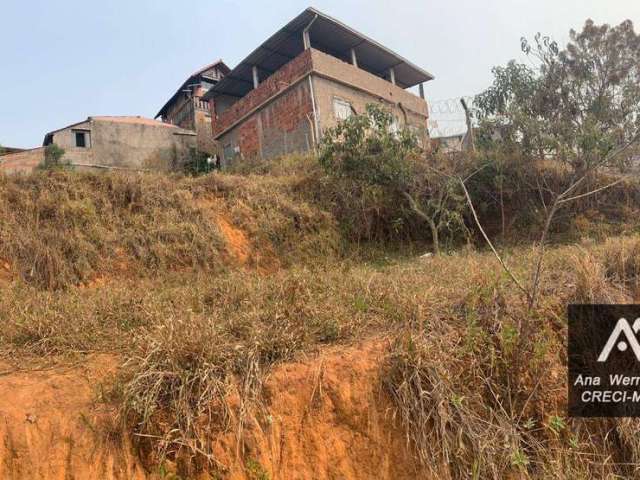 Terreno à venda, 352 m² por R$ 90.000,00 - Amazônia - Juiz de Fora/MG