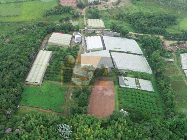 Sítio Comercial de 7,2 hectares em Mogi das Cruzes