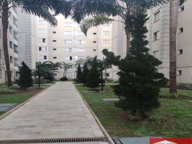 Apartamento Duplex/Cobertura em Jardim Santa Terezinha (zona Leste)  -  São Paulo