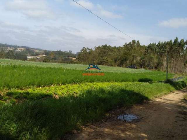 Terreno à venda na RUA BENEDITO MESSIAS DOS SANTOS NETO, 100, da Capelinha, Cotia por R$ 1.300.000