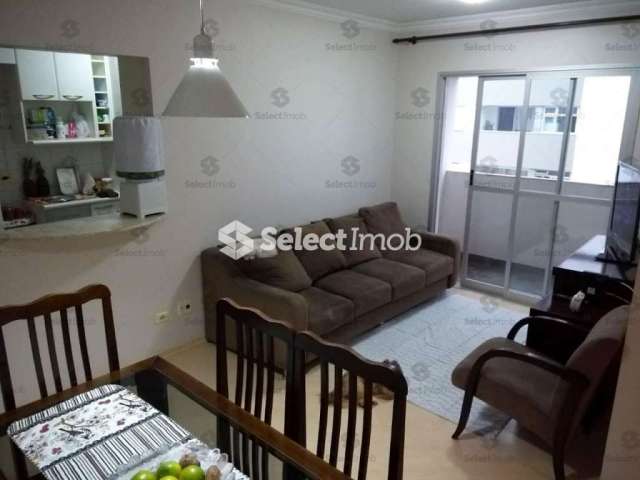 Apartamento À Venda, Vila Gilda, Santo André - SP