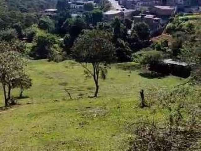 Terreno 5.000m² Plano, Zoneamento ZRMD-1 para venda Santana de Parnaíba/SP