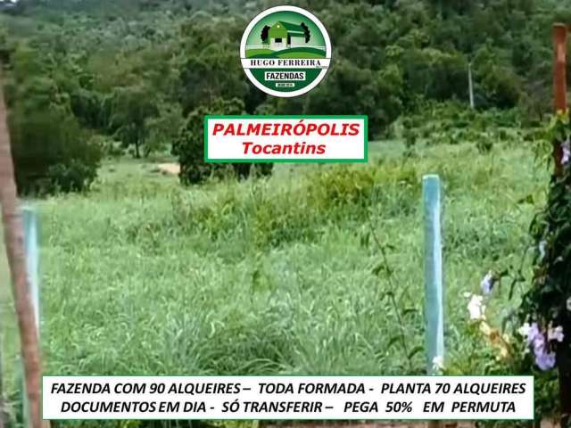 Fazenda toda formada em palmeirópolis/to- abastecida p0r represa