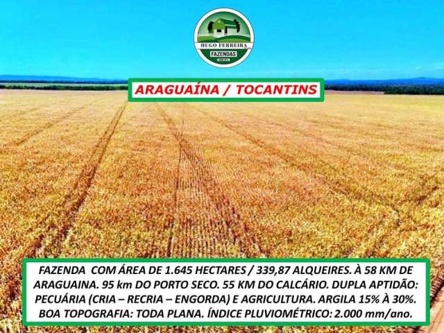 Fazenda  araguaína/to-dupla aptidão-topografia plana- muito bem estruturada