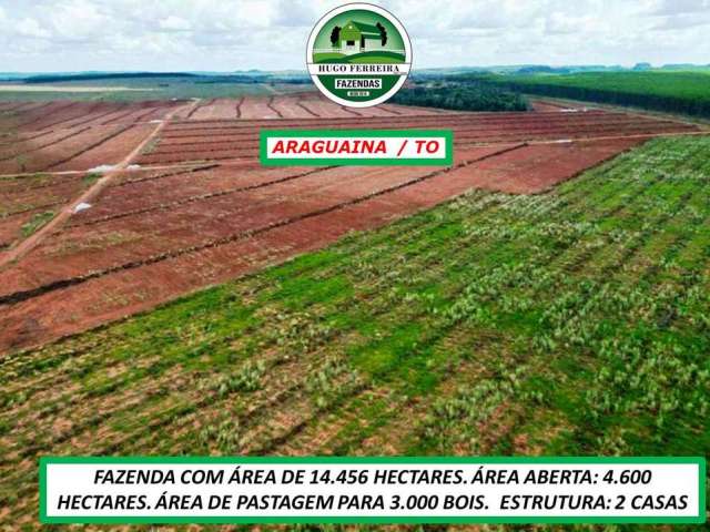 Fazenda em araguaína/to-dupla aptidão-boa topografia-estruturada