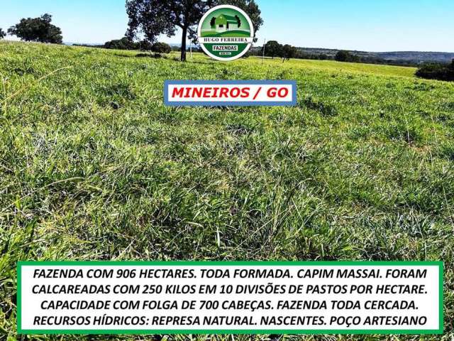 Fazenda com topografia plana e ondulada-toda cercada-estruturada