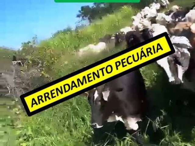 Arrendamento perto do asfalto estrada boa para circulação de carretas