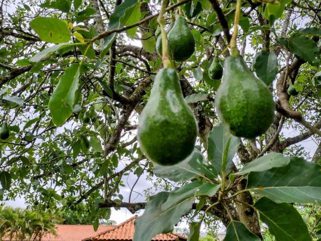 Linda Chácara em Condomínio Fechado, de  5.000m2, com  313m2 de área Construída, com Muito Verde no Vitassay em Boituva