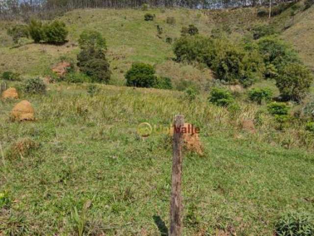 Terreno à venda, 24200 m² por R$ 250.000,00 - Borba - Pindamonhangaba/SP