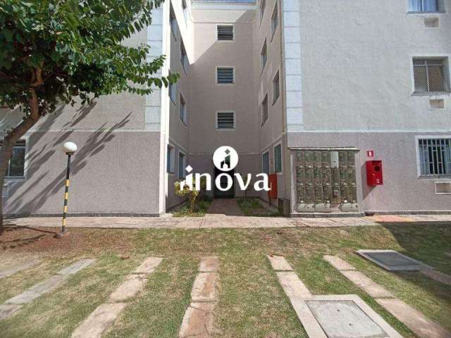 Apartamento à venda, bairro Guanabara