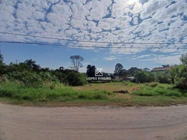 Terreno à venda, 2500 m² por R$ 500.000,00 - Chácara Recreio Cruzeiro do Sul - Santa Bárbara D'Oeste/SP