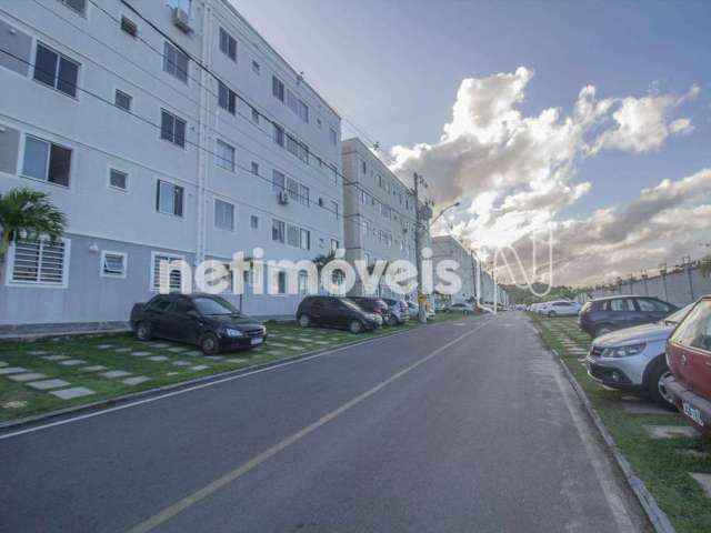 Venda ou locação Apartamento 2 quartos Caixa Dágua Lauro de Freitas