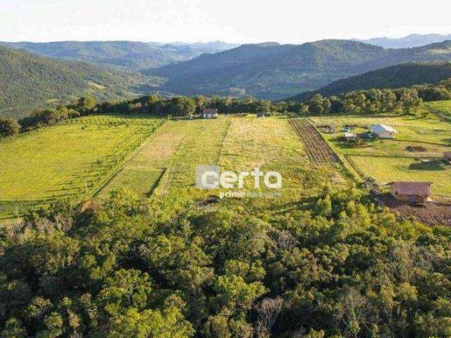 Sítio com 2 dormitórios à venda, 30000 m²- São João - Canela/RS