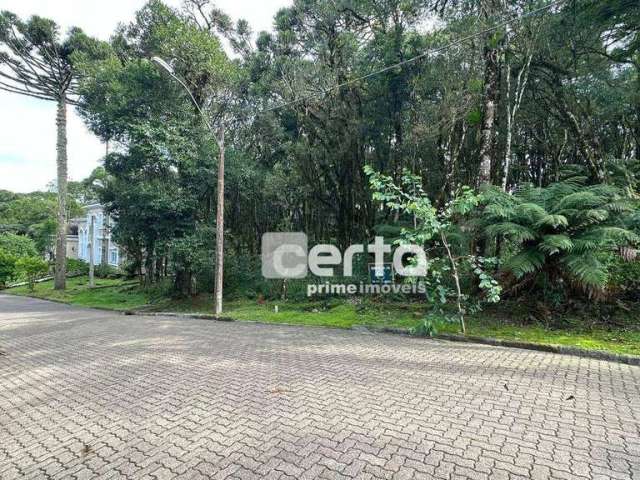 Terreno à venda, 744 m² por R$ 590.000,00 - Pinheiro Grosso - Canela/RS