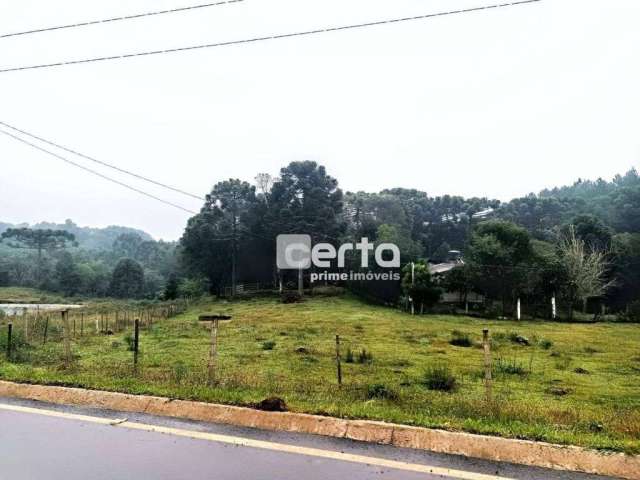 Área à venda, 242504 m²- Canela/RS