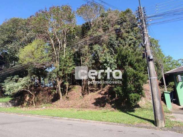 Terreno à venda, 1250 m²- Centro - Canela/RS